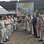 Ketua Umum DPP GPJ Menyerahkan Dua Ekor Sapi Kepada Ketua Panitia Qurban Idhul Adha 1446H/ 2025M Untuk di Sembelih