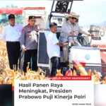 Presiden RI Jenderal TNI (Purn.) H. Prabowo Subianto menyambut panen raya jagung yang diinisiasi Polri sebagai bukti awal keberhasilan dalam produksi pangan.